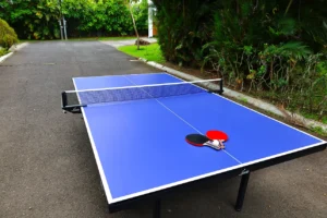 Mesa de Ping Pong Profesional - Piccala 18mm